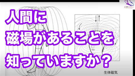 人 磁場|人間にも磁気コンパスがあることが大判明 